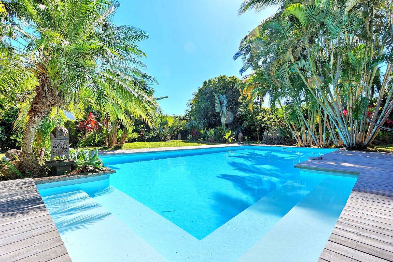 Piscine de la villa Bao entourée de palmiers à Saint-Pierre